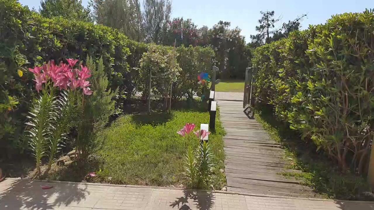 Sea Beach Relax Tirrenia Exterior foto